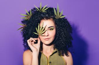 Eine junge Frau mit schwarzen Locken stecht vor lila Hintergrund, trägt Cannabisblätter im Haar und hält sich ein Cannabisblatt vors Gesicht