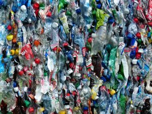 Nachhaltig leben: Weniger Plastikflaschen verwenden