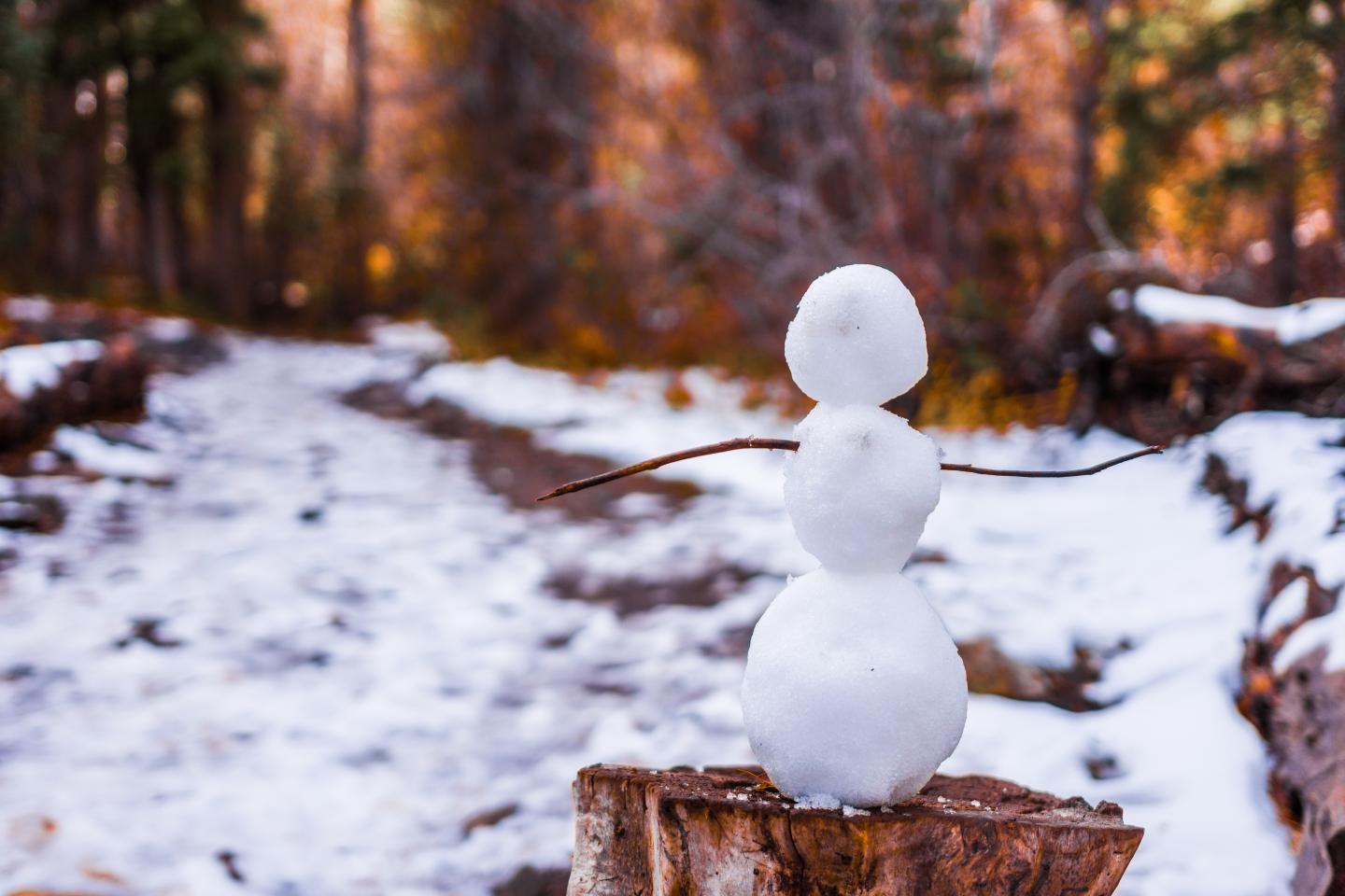 Schneemann im Wald