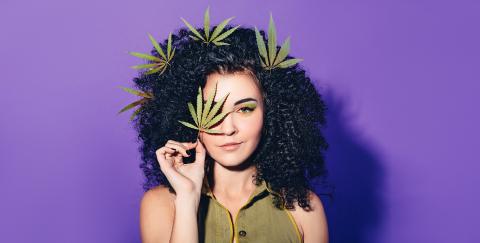 Eine junge Frau mit schwarzen Locken stecht vor lila Hintergrund, trägt Cannabisblätter im Haar und hält sich ein Cannabisblatt vors Gesicht